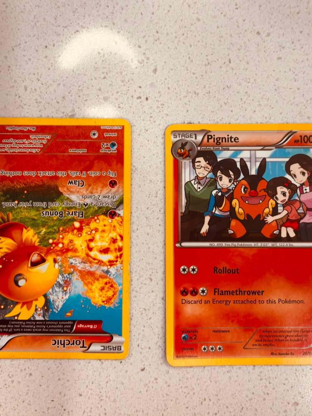 L28 Pokemon Card Lot Pignite 26/113 Radiant Collection Torchic 26/160 Primal Cl